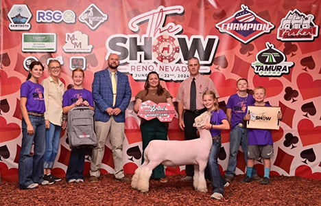 Reserve Champion Southdown Makret Lamb - The Show Reno 2024